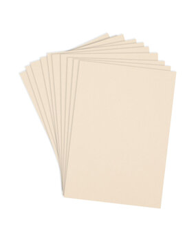 Spellbinders Chiffon A4 ColorWheel Cardstock (10 Sheets) (CS-A4-108)