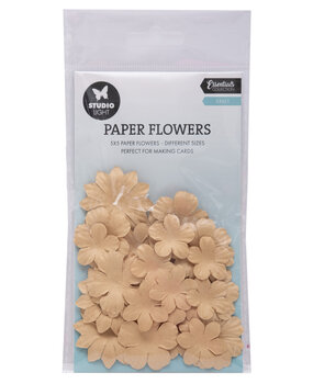 Studio Light Kraft Essentials Paper Flowers (5pcs) (SL-CO-FLOW15) (DISCONTINUED)