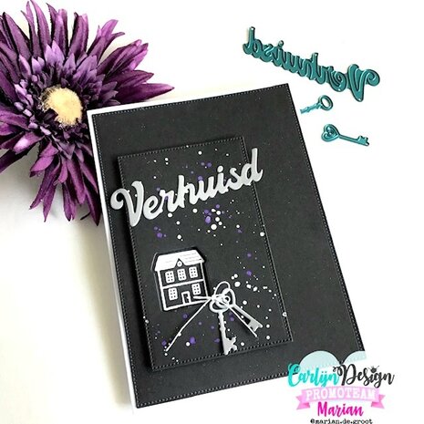 CarlijnDesign Cutting Dies Verhuisd (CDSN-0298) CarlijnDesign Cutting Dies Verhuisd (CDSN-0298)