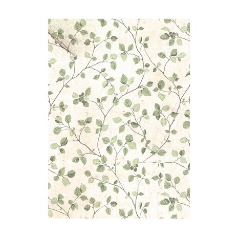 Stamperia House of Roses A6 Rice Paper Backgrounds (8pcs) (DFSAK6039) Stamperia House of Roses A6 Rice Paper Backgrounds (8pcs) (DFSAK6039)