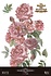 Roses 24x35 Inch Decor Transfers (4pcs) (PFY-14822)
