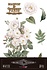 Roses 8x12 Inch Decor Transfers (3pcs) (PFY-14803)
