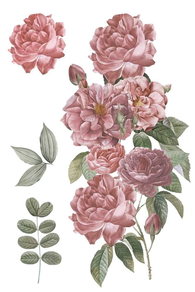 Papers For You Roses 8x12 Inch Decor Transfers (3pcs) (PFY-14803) Papers For You Roses 8x12 Inch Decor Transfers (3pcs) (PFY-14803)