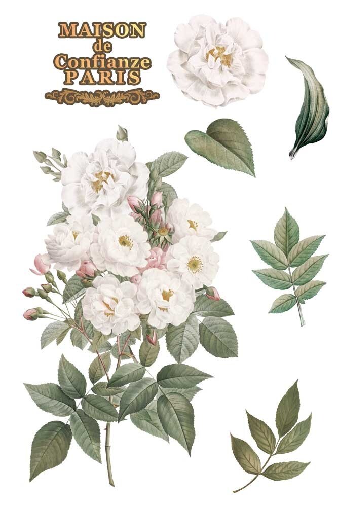 Papers For You Roses 8x12 Inch Decor Transfers (3pcs) (PFY-14803) Papers For You Roses 8x12 Inch Decor Transfers (3pcs) (PFY-14803)