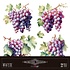 Grapes 12x12 Inch Decor Transfers (2pcs) (PFY-14796)