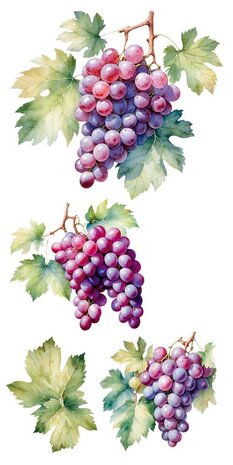 Papers For You Grapes 6x12 Inch Decor Transfers (4pcs) (PFY-14777)