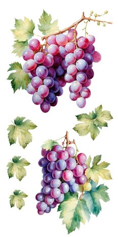 Papers For You Grapes 6x12 Inch Decor Transfers (4pcs) (PFY-14777)