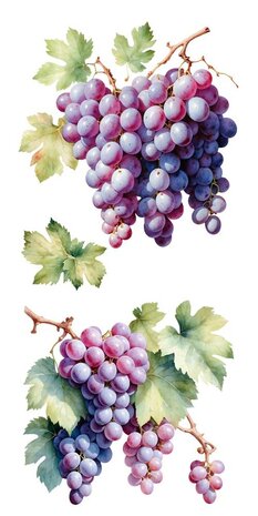 Papers For You Grapes 6x12 Inch Decor Transfers (4pcs) (PFY-14777)
