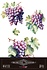 Grapes 8x12 Inch Decor Transfers (3pcs) (PFY-14815)