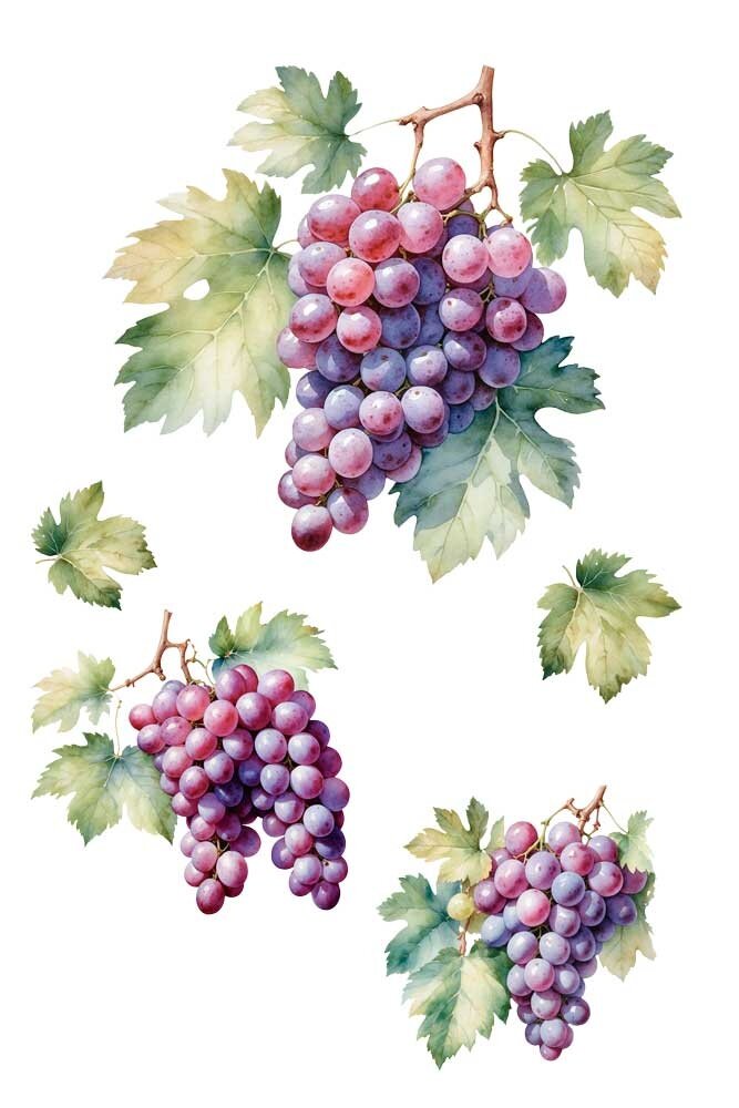 Papers For You Grapes 8x12 Inch Decor Transfers (3pcs) (PFY-14815)