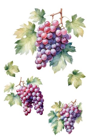Papers For You Grapes 8x12 Inch Decor Transfers (3pcs) (PFY-14815)