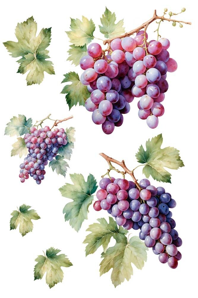 Papers For You Grapes 8x12 Inch Decor Transfers (3pcs) (PFY-14815)