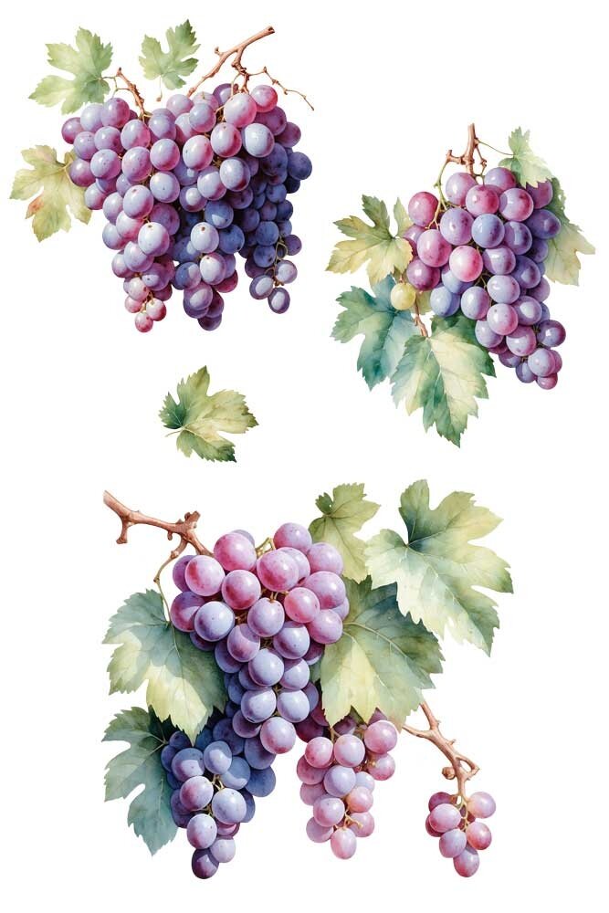 Papers For You Grapes 8x12 Inch Decor Transfers (3pcs) (PFY-14815)