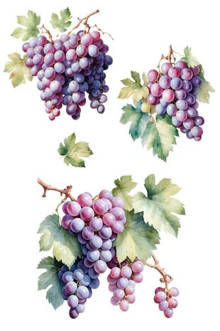 Papers For You Grapes 8x12 Inch Decor Transfers (3pcs) (PFY-14815)