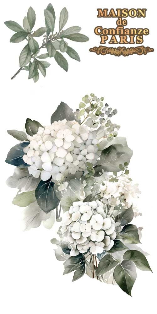 Papers For You Hydrangeas 6x12 Inch Decor Transfers (4pcs) (PFY-14767) Papers For You Hydrangeas 6x12 Inch Decor Transfers (4pcs) (PFY-14767)