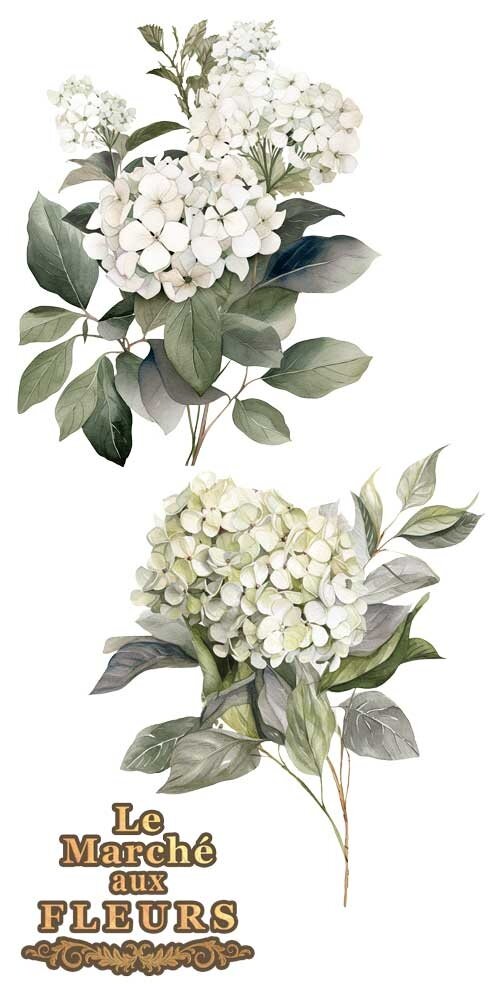 Papers For You Hydrangeas 6x12 Inch Decor Transfers (4pcs) (PFY-14767) Papers For You Hydrangeas 6x12 Inch Decor Transfers (4pcs) (PFY-14767)