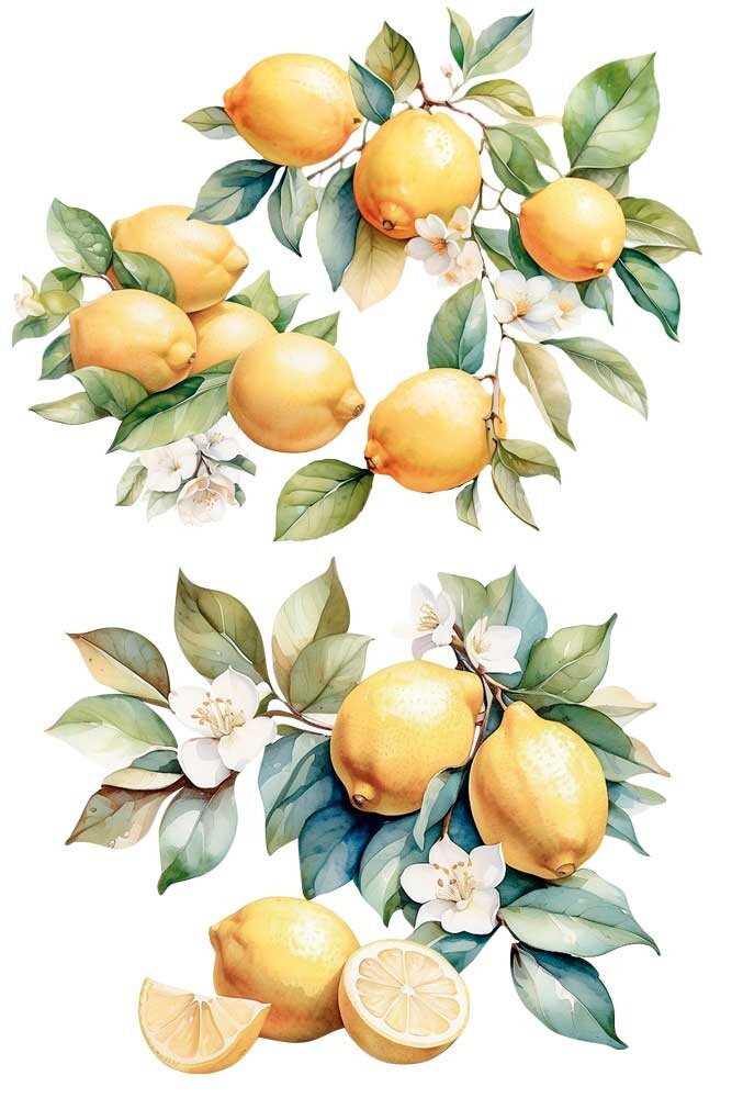 Papers For You Lemon 24x35 Inch Decor Transfers (4pcs) (PFY-14833) Papers For You Lemon 24x35 Inch Decor Transfers (4pcs) (PFY-14833)