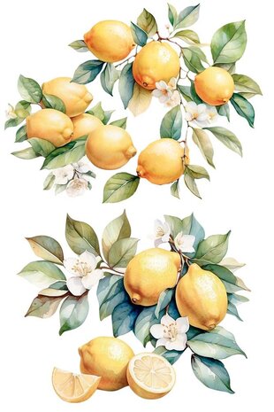 Papers For You Lemon 24x35 Inch Decor Transfers (4pcs) (PFY-14833) Papers For You Lemon 24x35 Inch Decor Transfers (4pcs) (PFY-14833)
