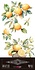 Lemon 6x12 Inch Decor Transfers (4pcs) (PFY-14776) Lemon 6x12 Inch Decor Transfers (4pcs) (PFY-14776)