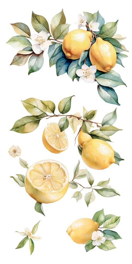 Papers For You Lemon 6x12 Inch Decor Transfers (4pcs) (PFY-14776)