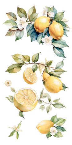 Papers For You Lemon 6x12 Inch Decor Transfers (4pcs) (PFY-14776)