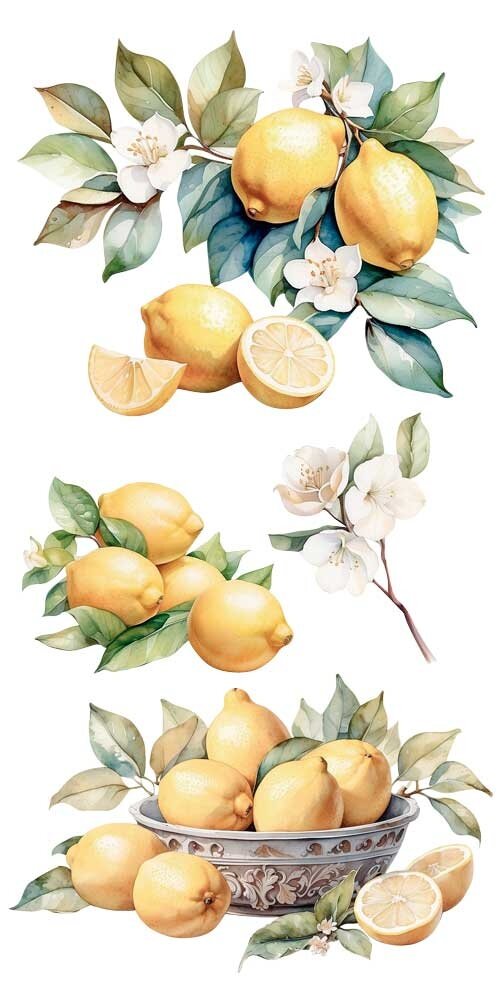 Papers For You Lemon 6x12 Inch Decor Transfers (4pcs) (PFY-14776)