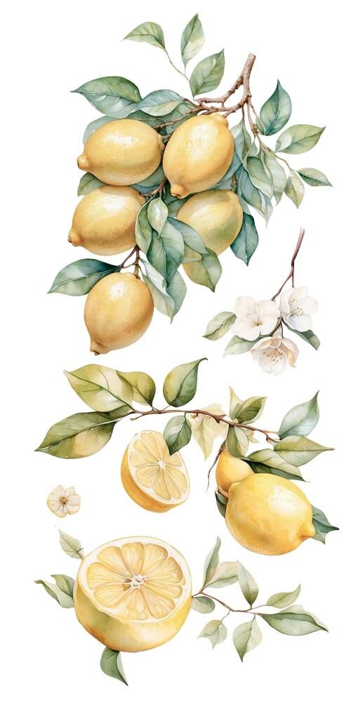 Papers For You Lemon 6x12 Inch Decor Transfers (4pcs) (PFY-14776)