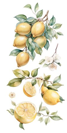 Papers For You Lemon 6x12 Inch Decor Transfers (4pcs) (PFY-14776)