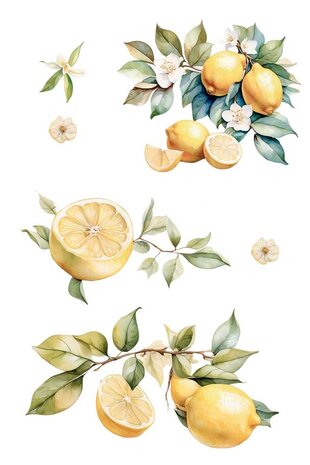 Papers For You Lemon 8x12 Inch Decor Transfers (3pcs) (PFY-14814) Papers For You Lemon 8x12 Inch Decor Transfers (3pcs) (PFY-14814)