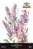 Lilacs 24x35 Inch Decor Transfers (4pcs) (PFY-14829)
