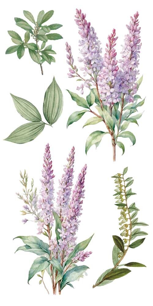 Papers For You Lilacs 6x12 Inch Decor Transfers (4pcs) (PFY-14773)