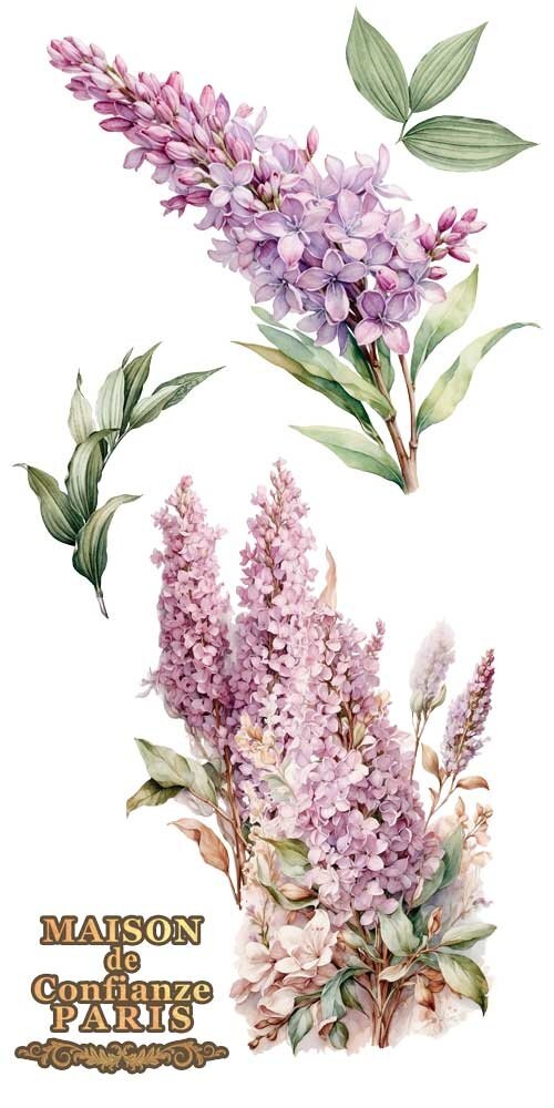 Papers For You Lilacs 6x12 Inch Decor Transfers (4pcs) (PFY-14773)