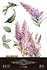 Lilacs 8x12 Inch Decor Transfers (3pcs) (PFY-14811)