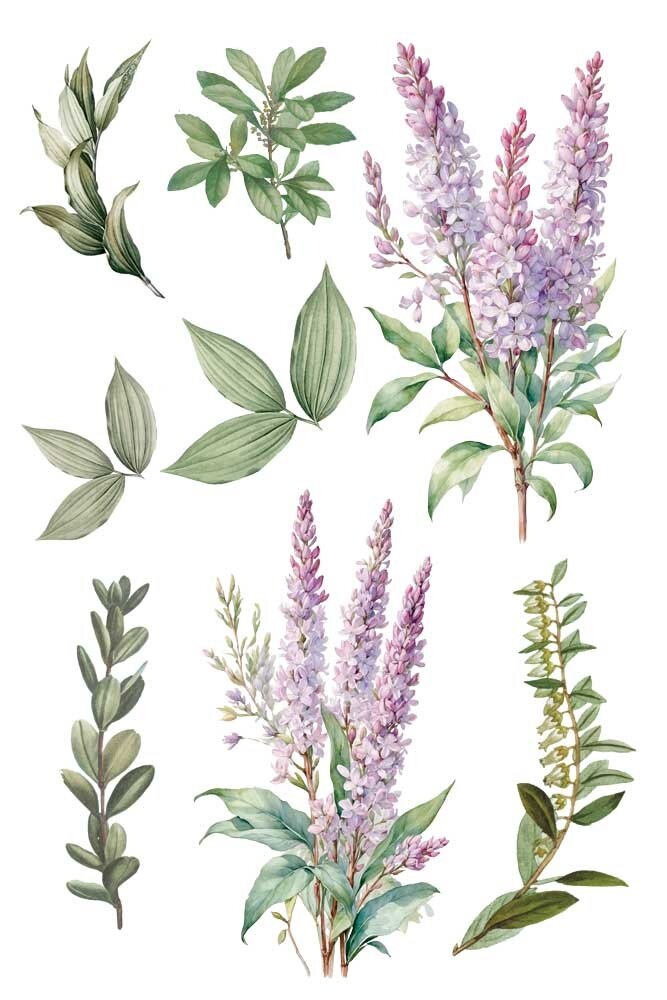 Papers For You Lilacs 8x12 Inch Decor Transfers (3pcs) (PFY-14811)