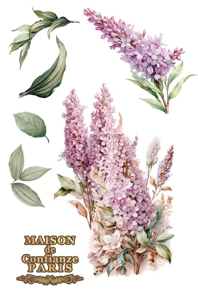 Papers For You Lilacs 8x12 Inch Decor Transfers (3pcs) (PFY-14811)