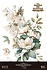 Magnolias 24x35 Inch Decor Transfers (4pcs) (PFY-14821) Magnolias 24x35 Inch Decor Transfers (4pcs) (PFY-14821)