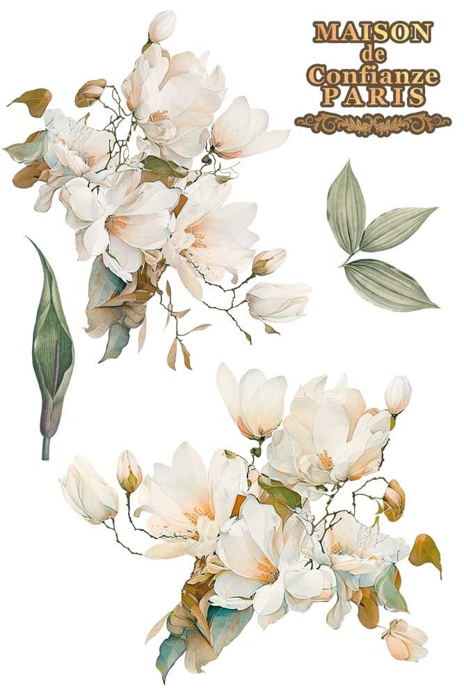 Papers For You Magnolias 8x12 Inch Decor Transfers (3pcs) (PFY-14802) Papers For You Magnolias 8x12 Inch Decor Transfers (3pcs) (PFY-14802)