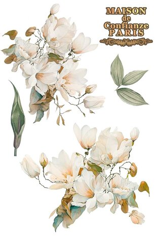 Papers For You Magnolias 8x12 Inch Decor Transfers (3pcs) (PFY-14802) Papers For You Magnolias 8x12 Inch Decor Transfers (3pcs) (PFY-14802)