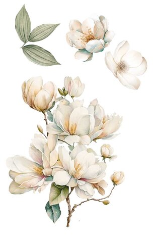 Papers For You Magnolias 8x12 Inch Decor Transfers (3pcs) (PFY-14802) Papers For You Magnolias 8x12 Inch Decor Transfers (3pcs) (PFY-14802)