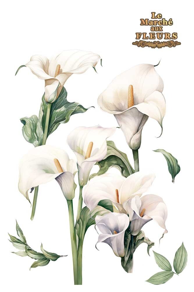 Papers For You Calla Lily 24x35 Inch Decor Transfers (4pcs) (PFY-14827)