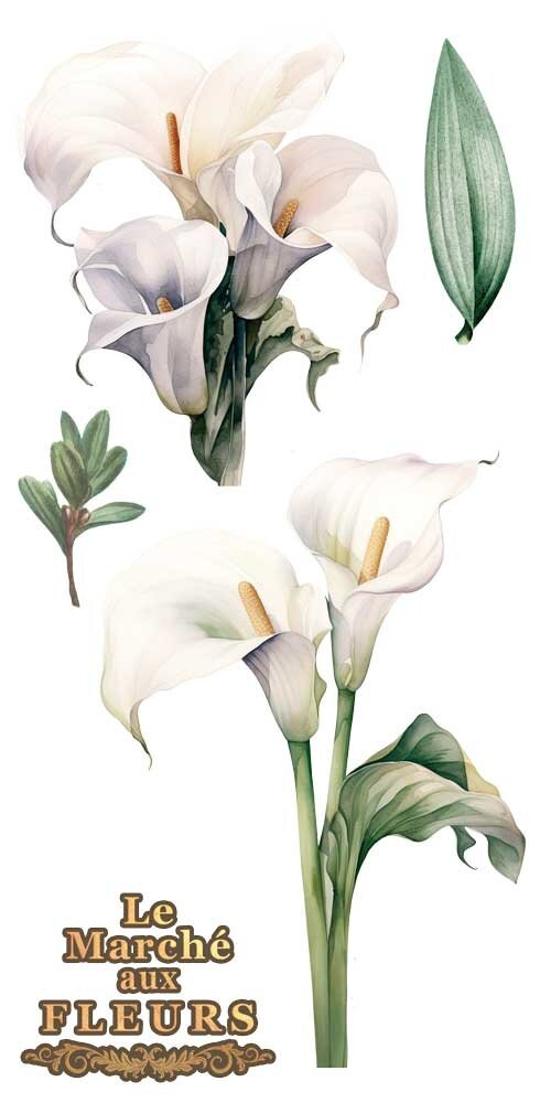 Papers For You Calla Lily 6x12 Inch Decor Transfers (4pcs) (PFY-14771) Papers For You Calla Lily 6x12 Inch Decor Transfers (4pcs) (PFY-14771)