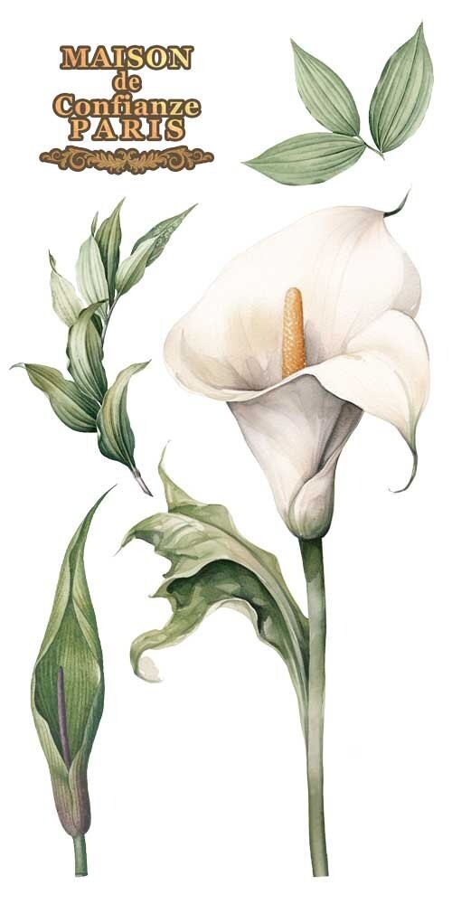 Papers For You Calla Lily 6x12 Inch Decor Transfers (4pcs) (PFY-14771) Papers For You Calla Lily 6x12 Inch Decor Transfers (4pcs) (PFY-14771)