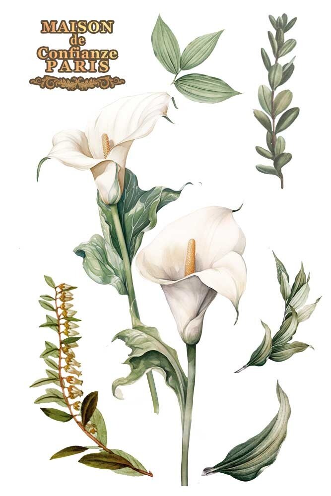Papers For You Calla Lily 8x12 Inch Decor Transfers (3pcs) (PFY-14808)