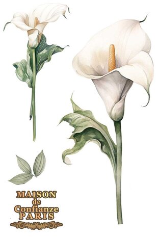 Papers For You Calla Lily 8x12 Inch Decor Transfers (3pcs) (PFY-14808)