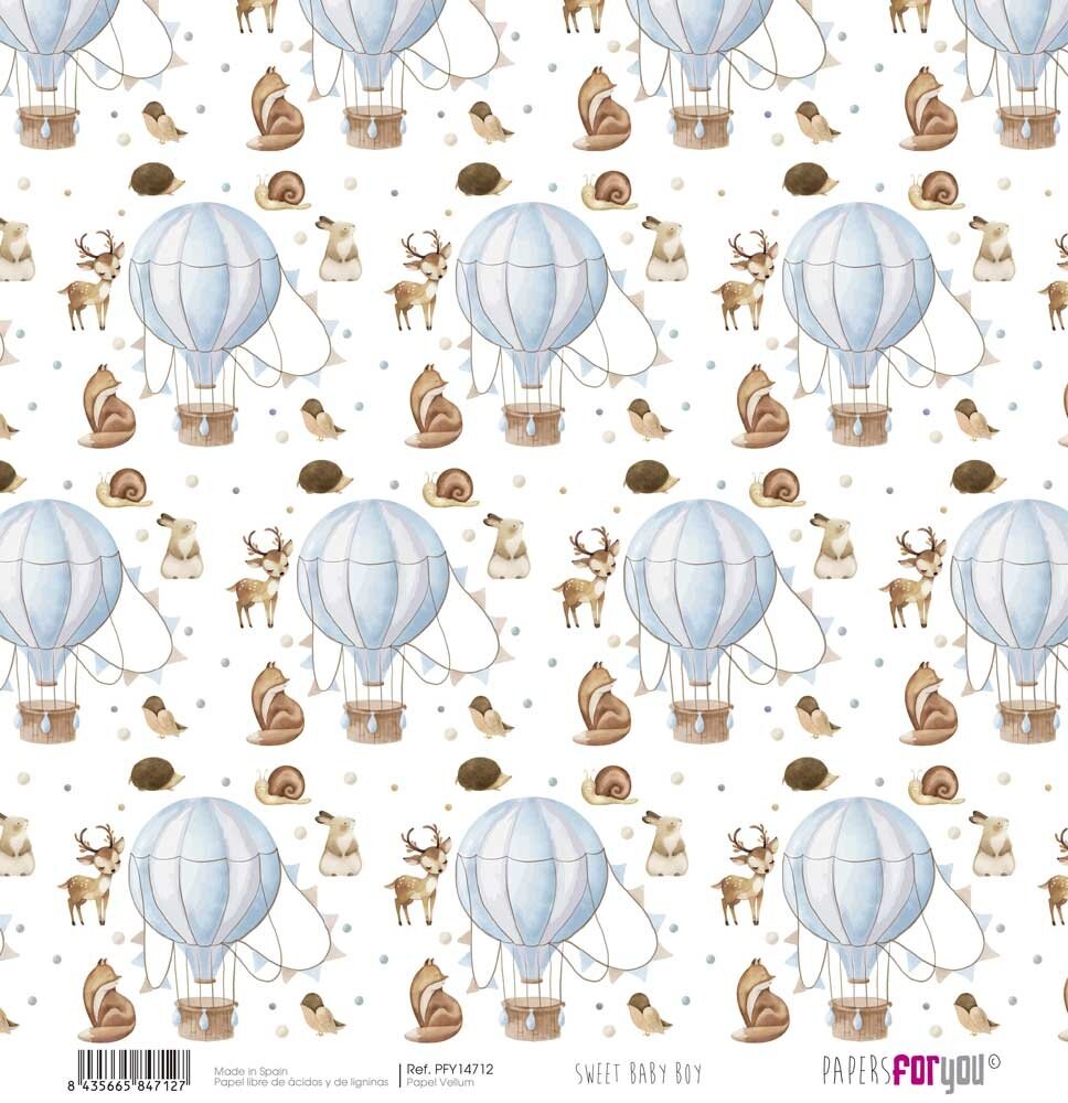 Papers For You Sweet Baby Boy Kit Vellum Paper Pack (6pcs) (PFY-14709) Papers For You Sweet Baby Boy Kit Vellum Paper Pack (6pcs) (PFY-14709)