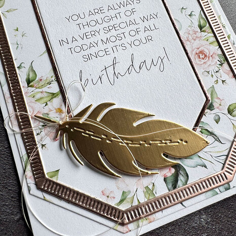 Simple and Basic Feathers Dies (SBD543)