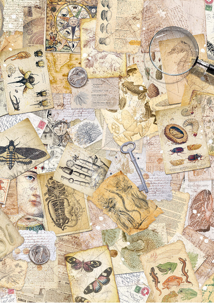 Ciao Bella Cabinet of Curiosities A5 Rice Paper Mixed (8pcs) (CBRS010) Ciao Bella Cabinet of Curiosities A5 Rice Paper Mixed (8pcs) (CBRS010)