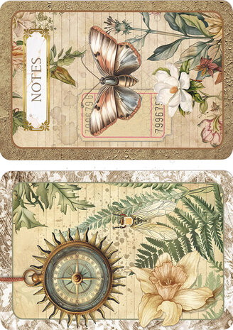 Ciao Bella Cabinet of Curiosities A5 Rice Paper Mixed (8pcs) (CBRS010) Ciao Bella Cabinet of Curiosities A5 Rice Paper Mixed (8pcs) (CBRS010)