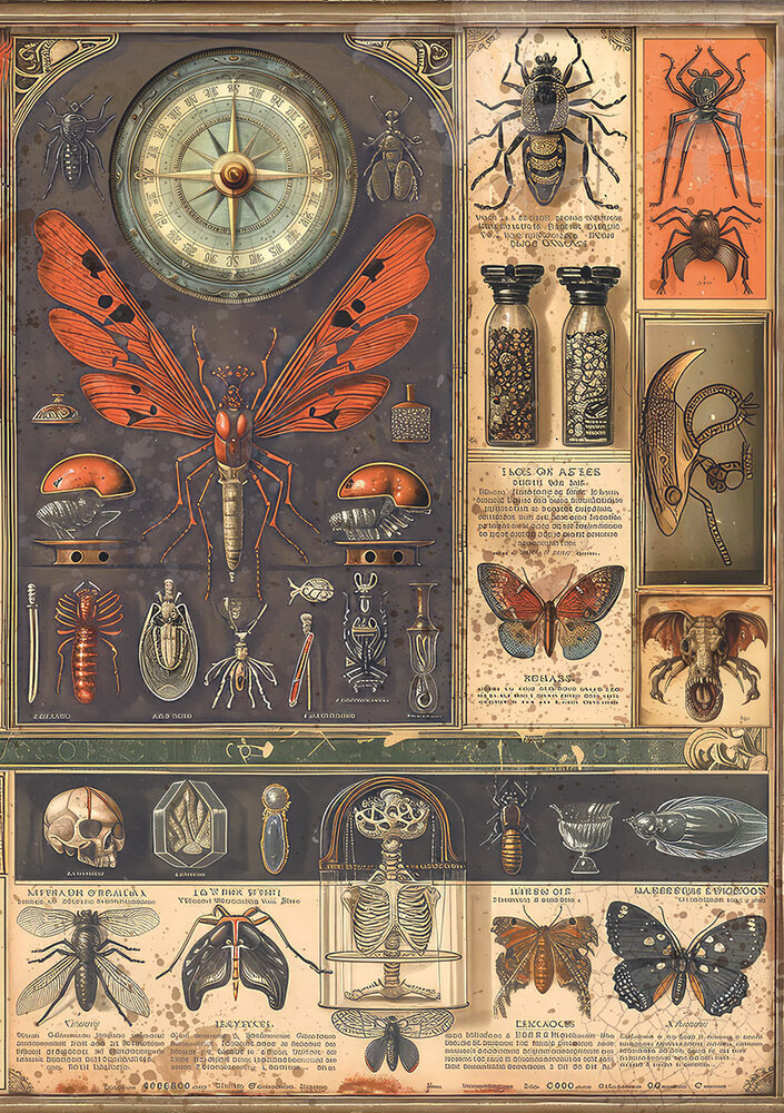 Ciao Bella Cabinet of Curiosities A5 Rice Paper Mixed (8pcs) (CBRS010) Ciao Bella Cabinet of Curiosities A5 Rice Paper Mixed (8pcs) (CBRS010)