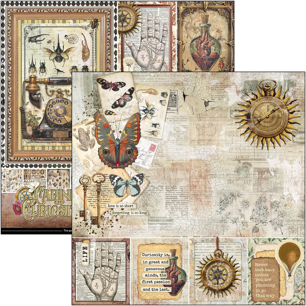 Ciao Bella Cabinet of Curiosities 12x12 Inch Paper Pad (12pcs) (CBPM085)